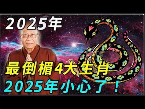 2025年什麼年